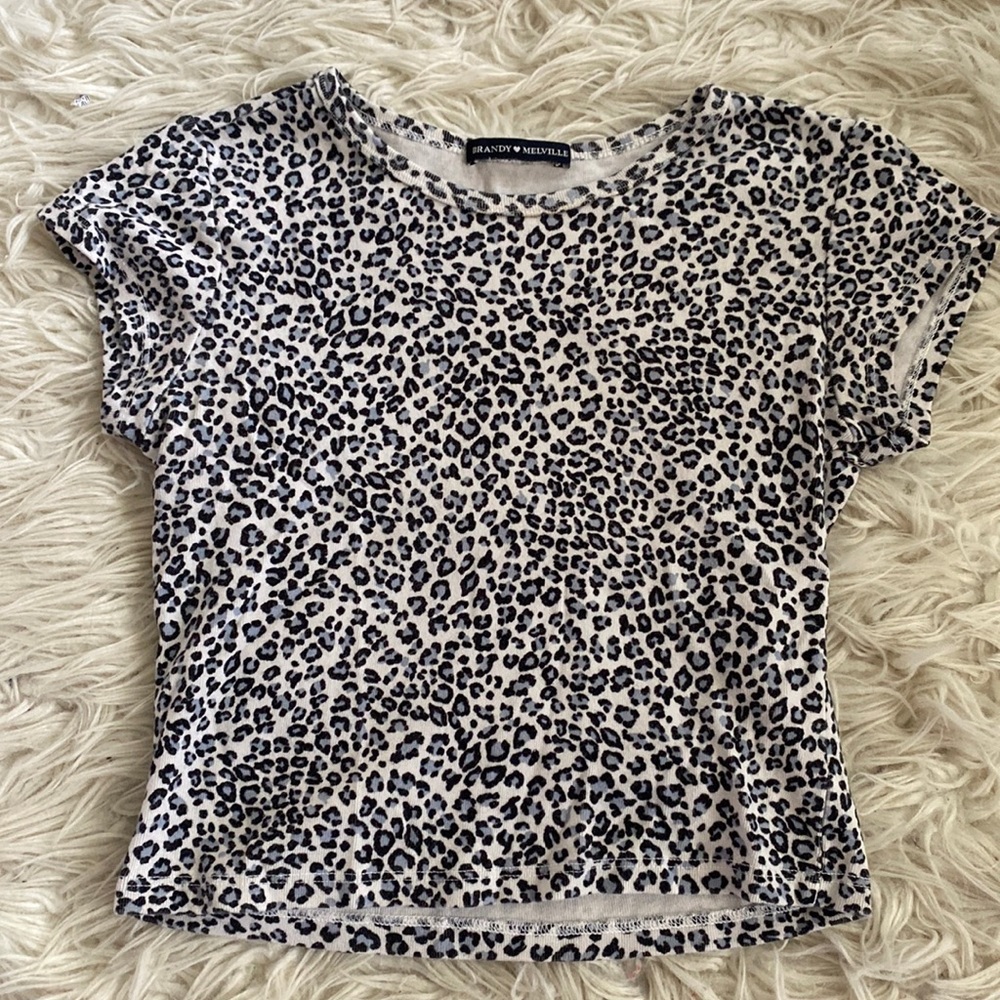 Brandy Melville Crop Top
